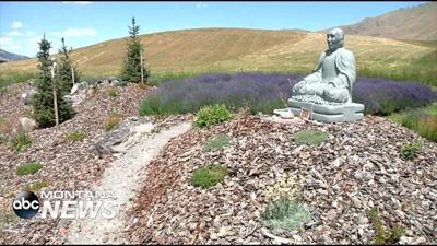 Garden Of 1 000 Buddhas Provides Peaceful Refuge News