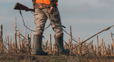 Montana FWP releases 2021 Big Game Hunting Forecast