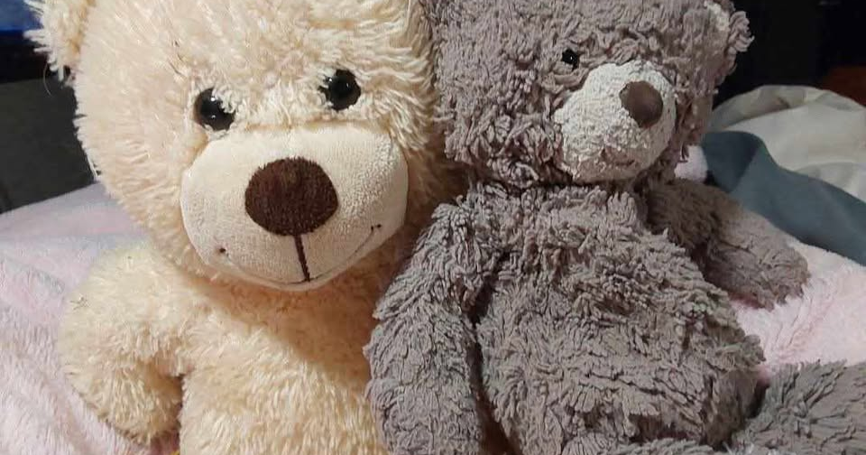 Park City family asks community to help find girl's lost "Haddie Bear"