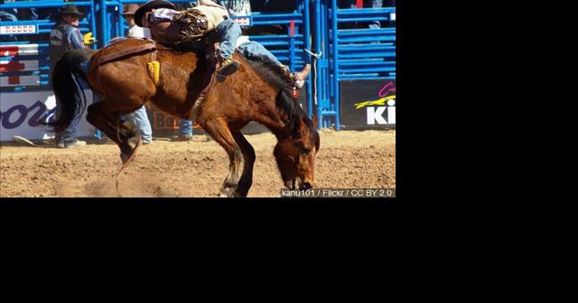 Know before you go: Last Chance Stampede PRCA Rodeo at the Lewis and Clark County Fairgrounds - Vimarsana News