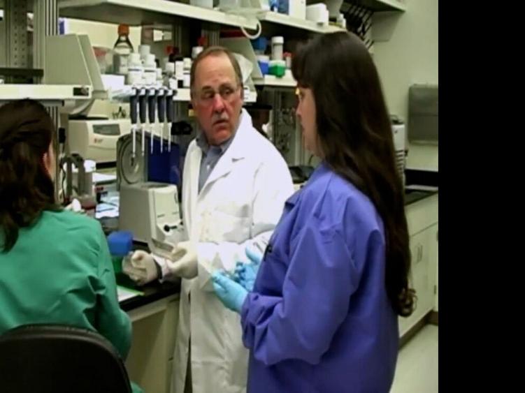 Rocky Mountain Labs "punching above weight" in fight against COVID-19 | Coronavirus ...