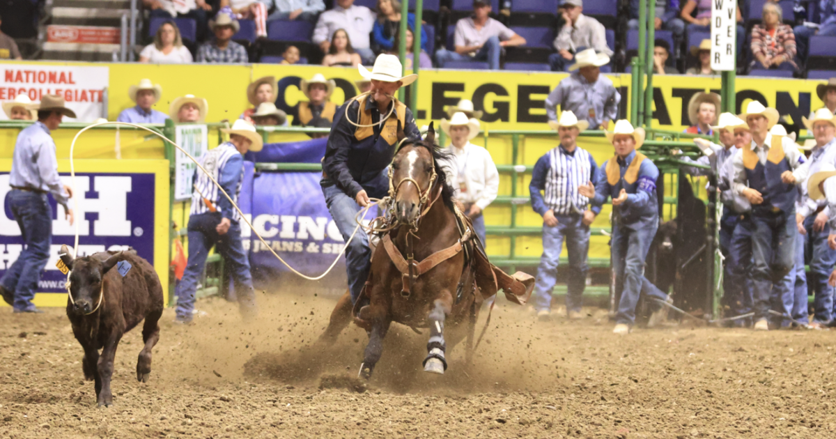 MSU Spring Rodeo underway in Bozeman, info you need to know before you