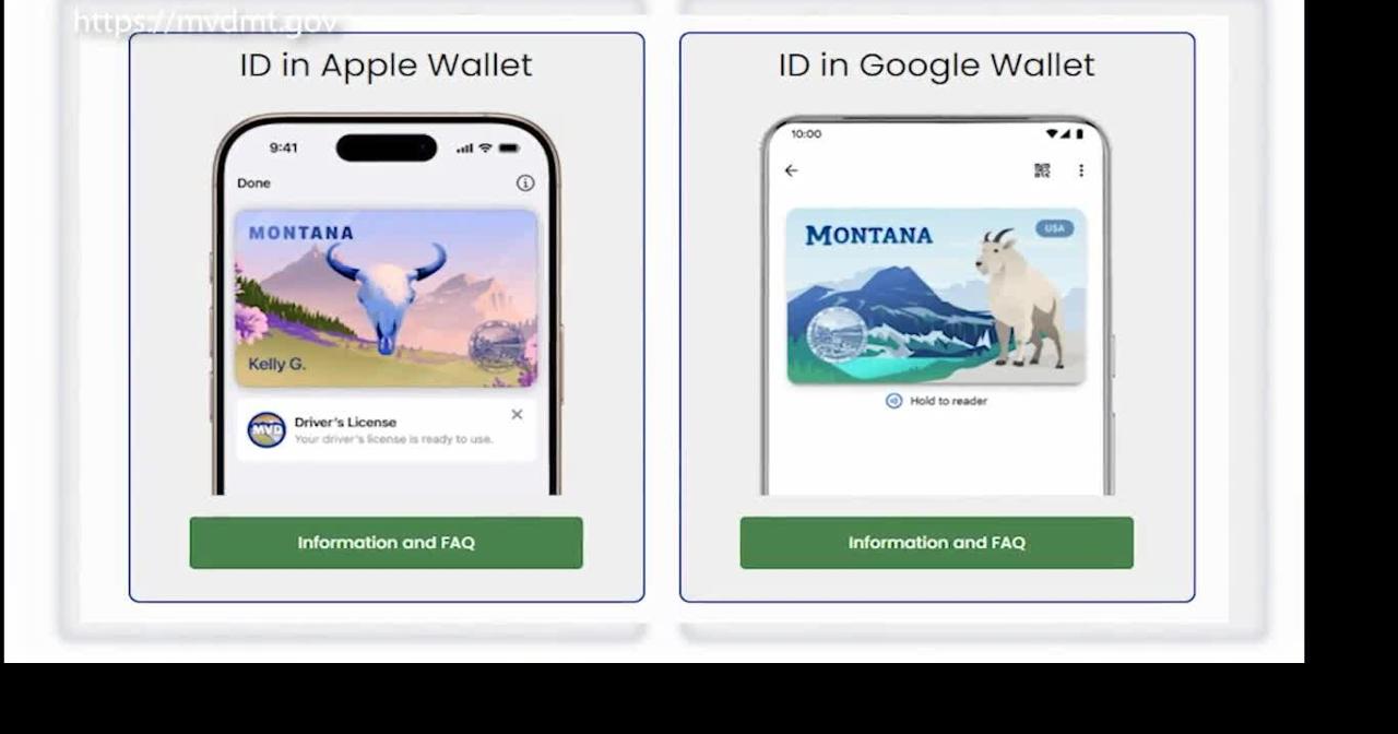 Digital IDs in Montana: How to use them and where they're accepted