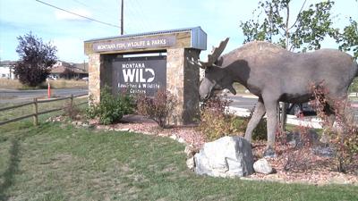 Hunter Safety Tips For Winter Abc Fox Montana Helena