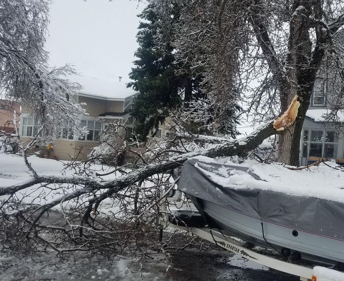 Heavy snow in Lewistown causes damage to trees, MDT reporting downed