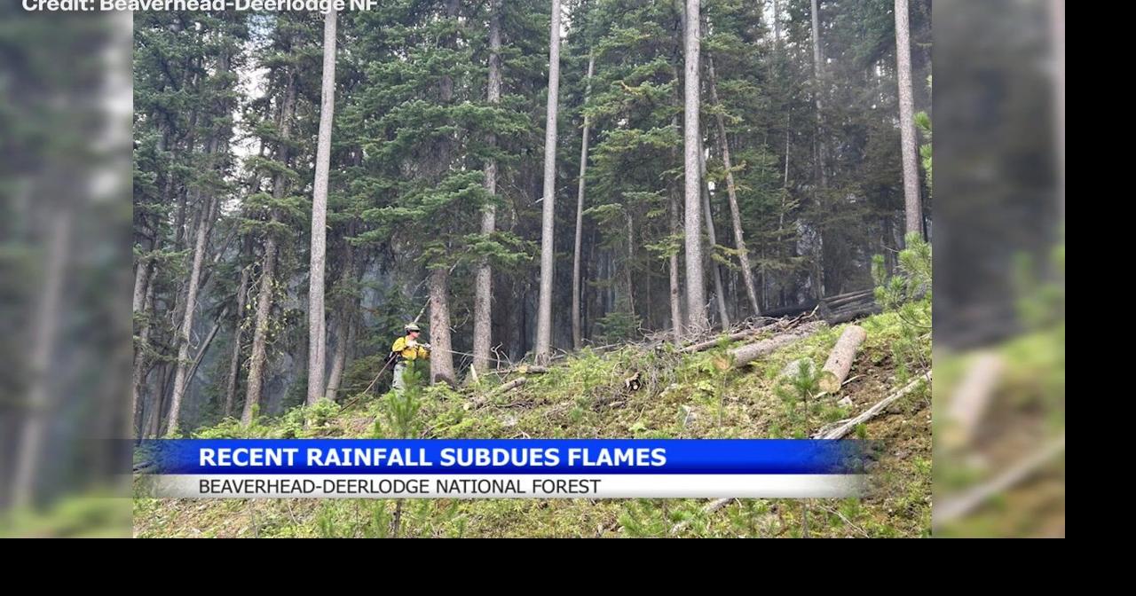 Rain slows fire activity around Montana