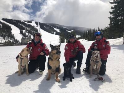 Skier searches for dog after Colorado avalanche