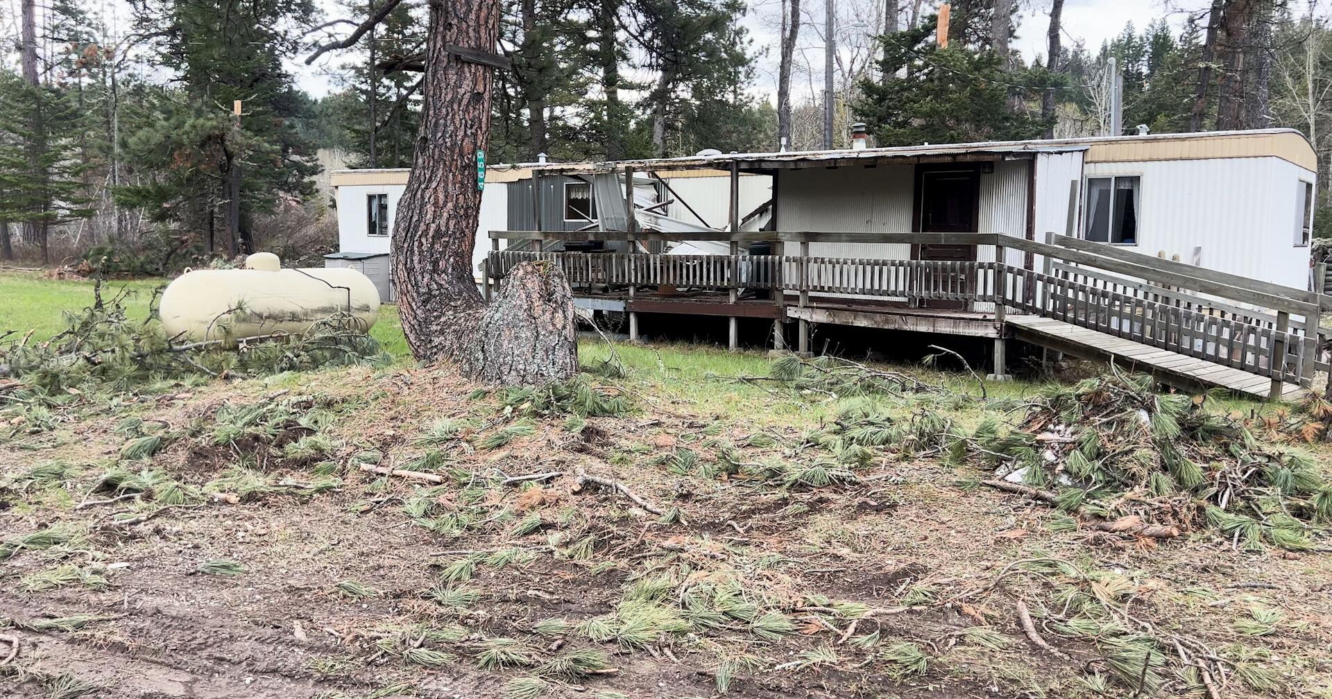 Devastating storm leaves fallen trees throughout Monarch and Neihart area and the communities are asking for help - Vimarsana News