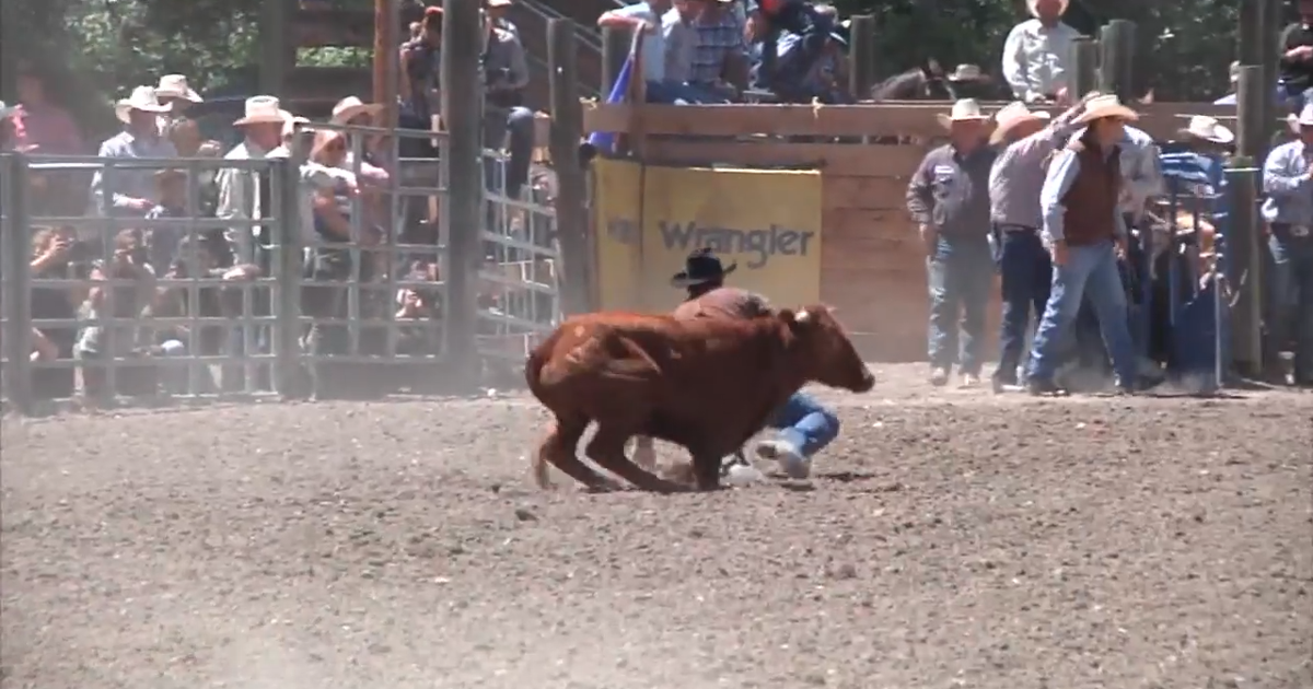 Fans pack the town for 84th annual Augusta American Legion Rodeo ...