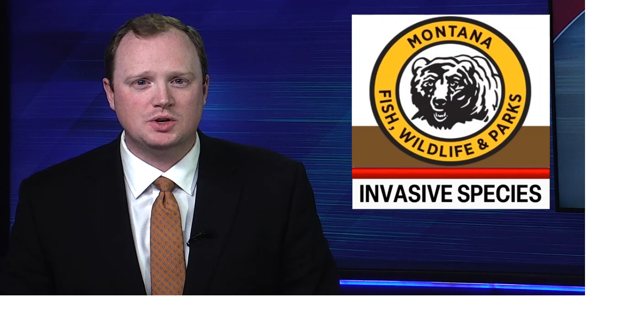 Montana leads in invasive species prevention efforts