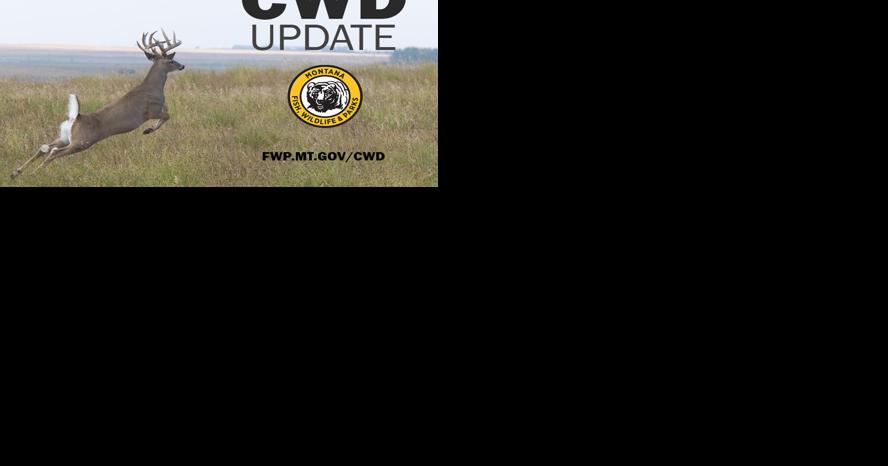 Chronic Wasting Disease detected for the first time in hunting district near Deer Lodge - Vimarsana News