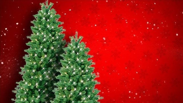 2022 Christmas Tree Permits Flathead National Forest Christmas Tree Permits Available | News | Montanarightnow.com