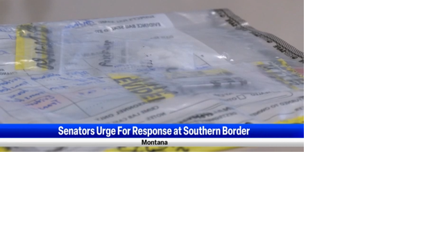 Montana Senators Urge for Response at US Southern Border - Vimarsana News