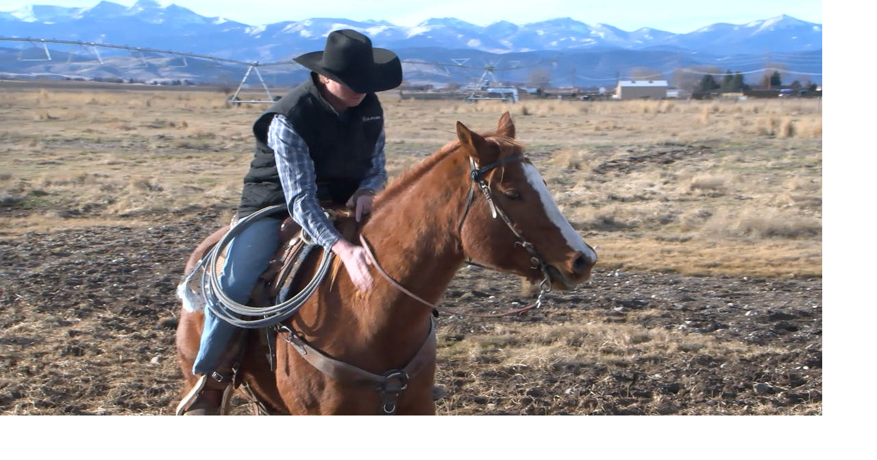 Three Forks cowboy needs help in wild horse rescue | Bozeman News ...