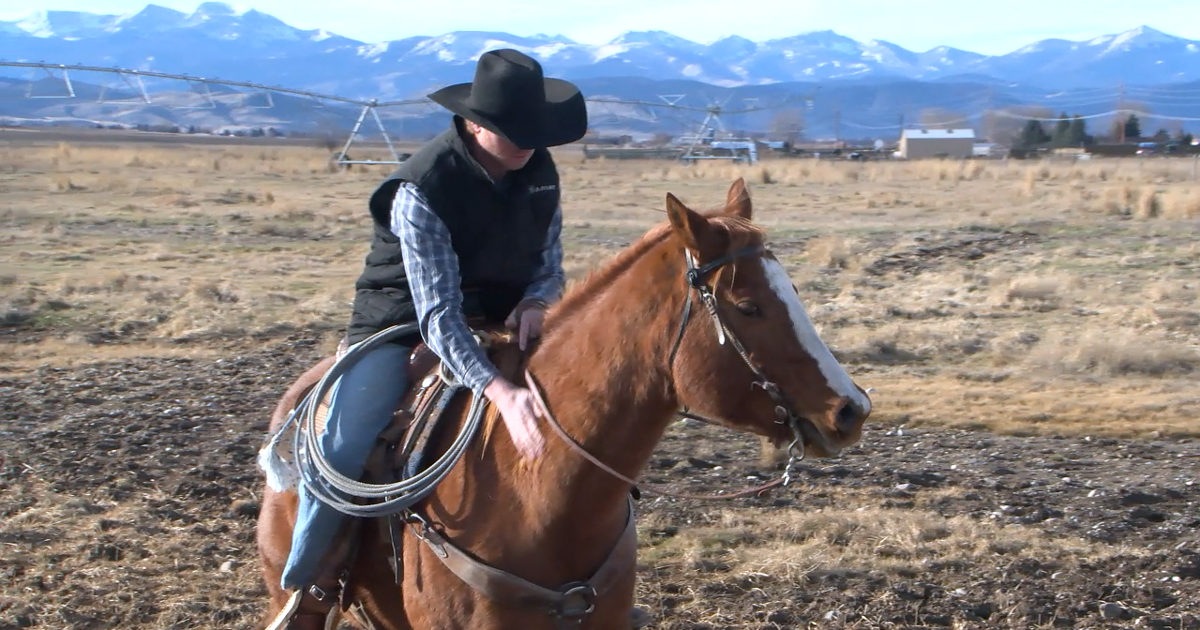 Three Forks cowboy needs help in wild horse rescue | Bozeman News ...