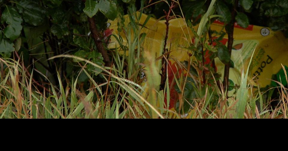 Flathead Basin Commission focusing on water quality in current drainage