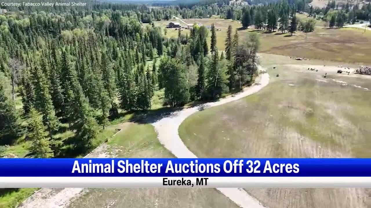 Tobacco Valley Animal Shelter to auction off 32 acres