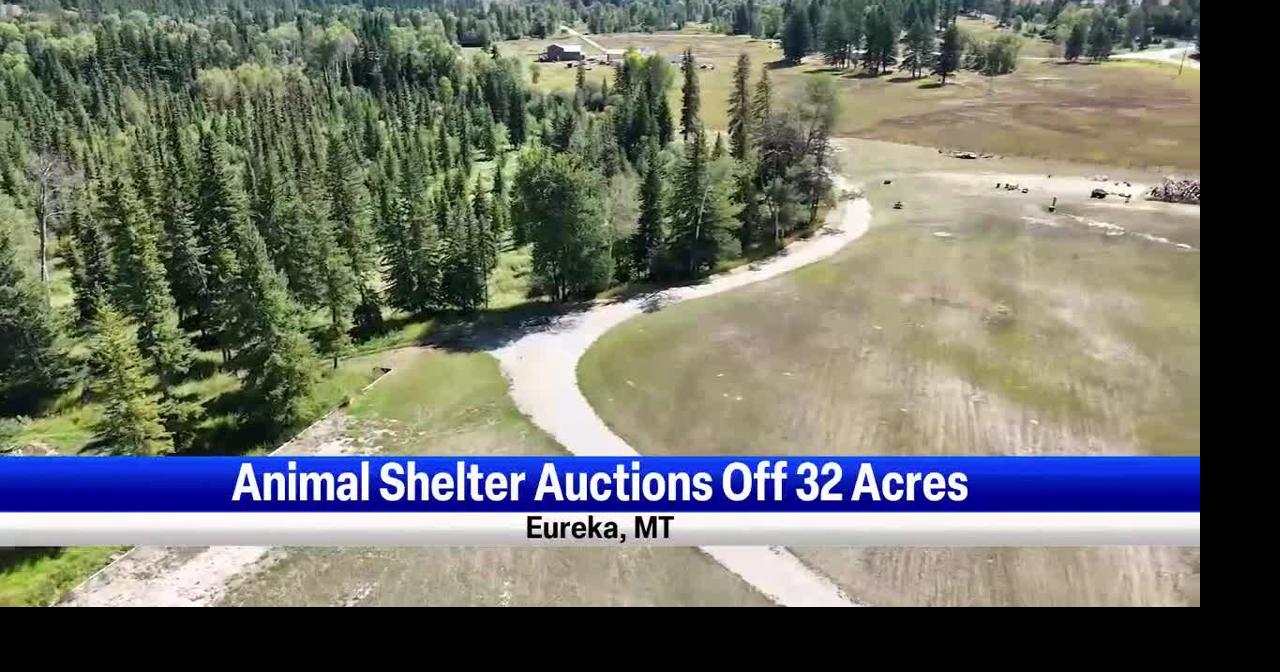tobacco valley animal shelter eureka mt Tobacco Valley Animal Shelter to auction off 32 acres