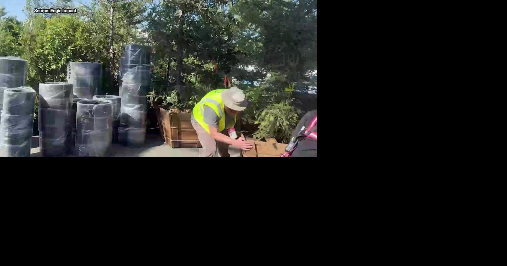 San Francisco Super Bowl preparations focus on sustainability