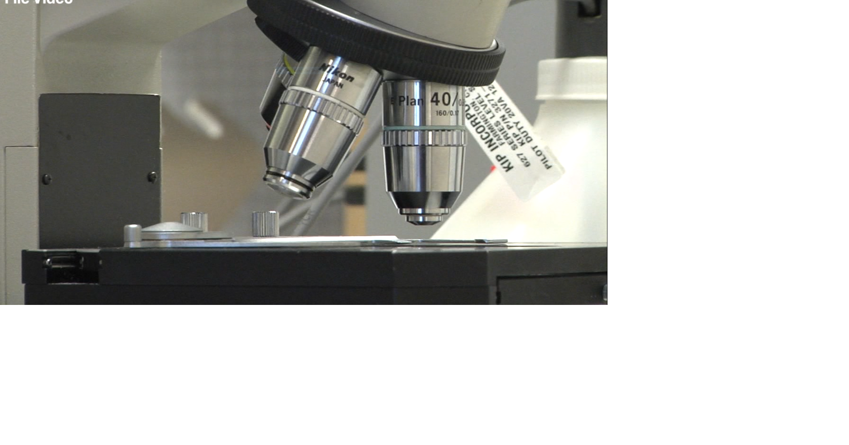 Microscope | | montanarightnow.com