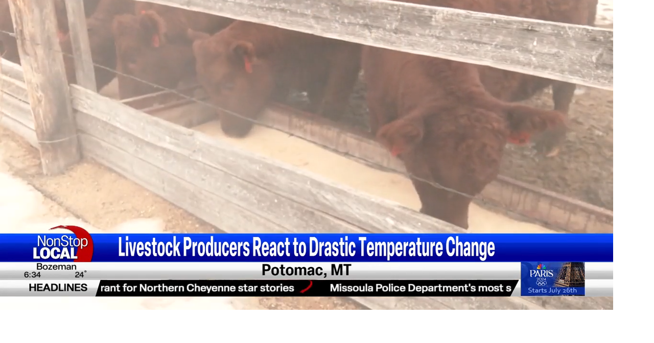 Livestock producers in Potomac react to drastic temperature change