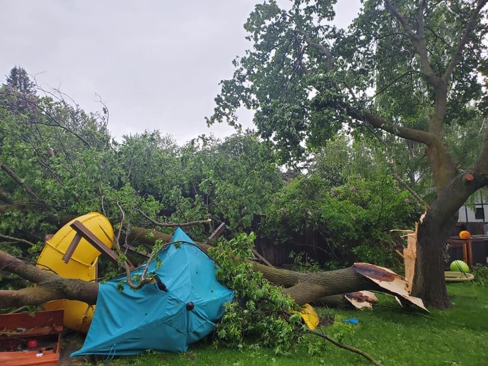 Kalispell windstorm information