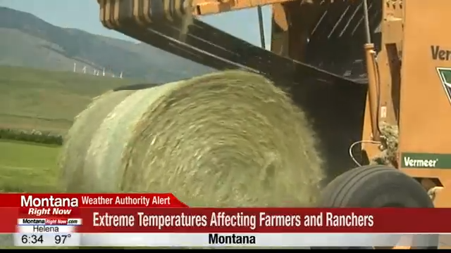Extreme Temperatures Affecting Farmers And Ranchers In Montana Abc Fox Great Falls Montanarightnow Com