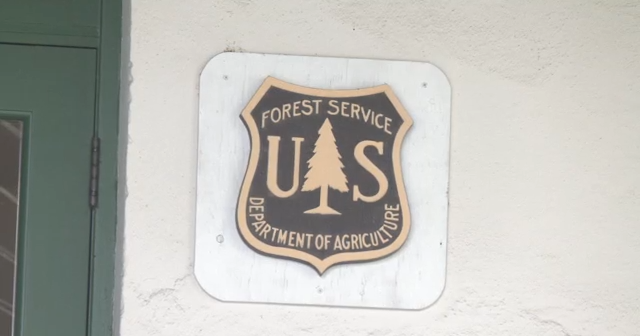 USDA invests $5 million into local wood products industry - Vimarsana News
