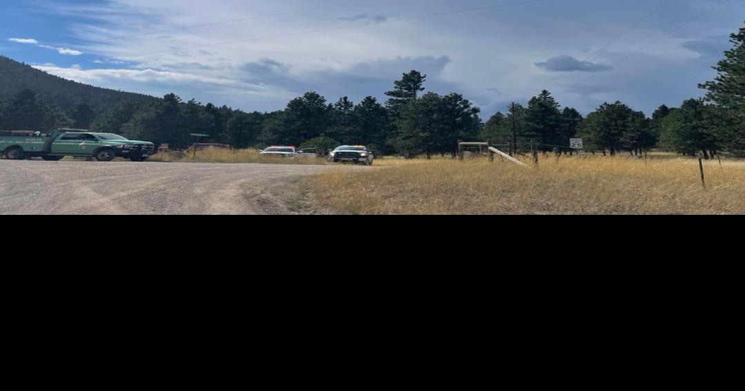 Grizzly Gulch Fire 75 contained, full containment anticipated soon