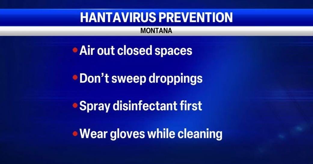 Montana health officials share hantavirus cleaning safety tips