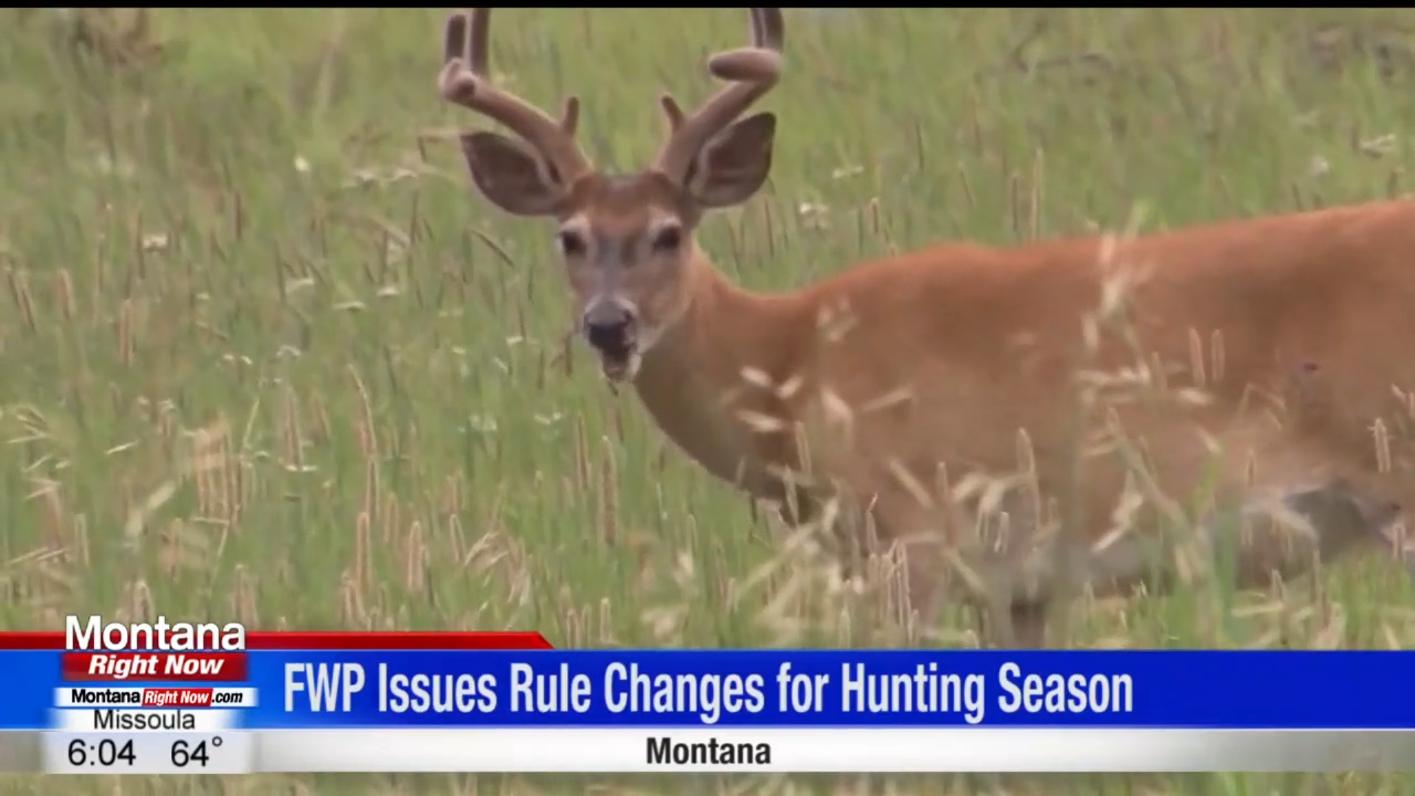 FWP Releases New Hunting Rule To Prevent The Spread Of CWD | Great ...