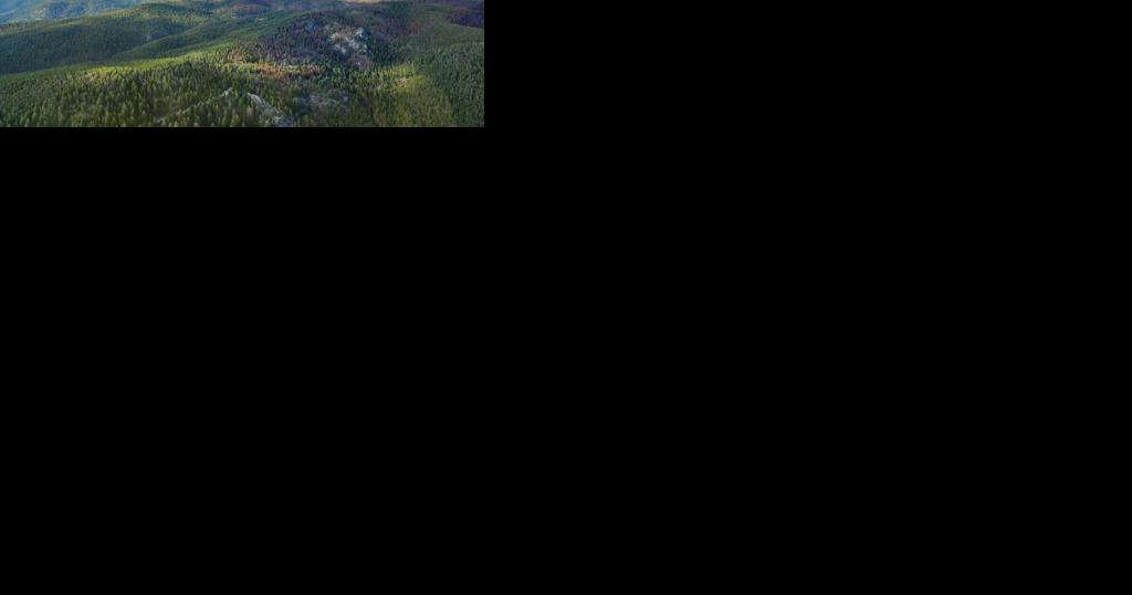 Crews continue to construct and improve fireline for the Bowles Creek Fire - Vimarsana News