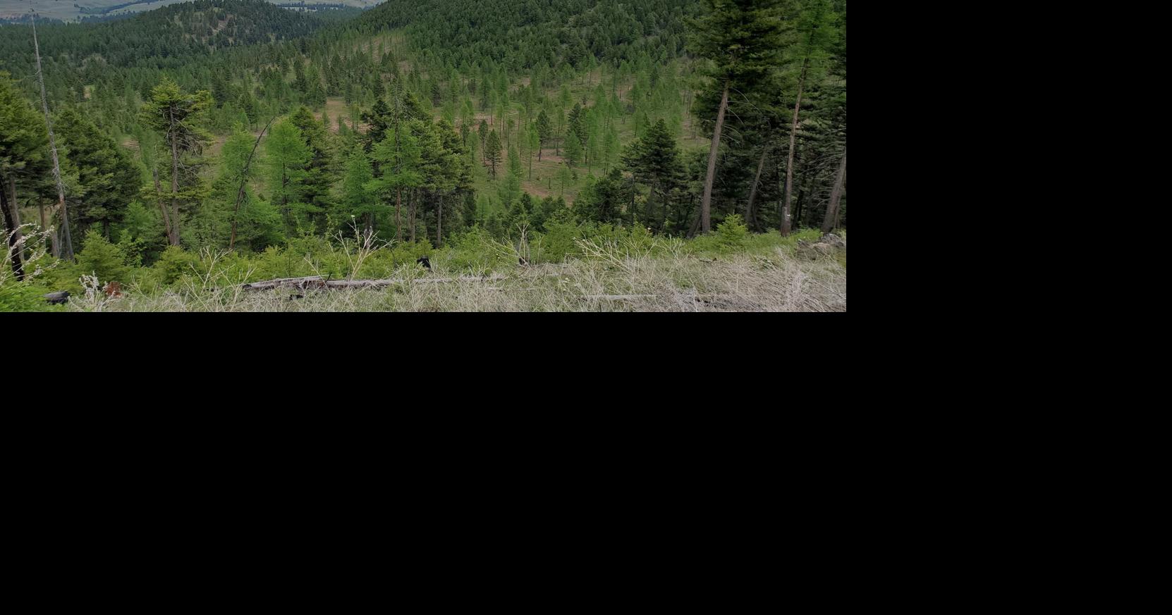 Montana DNRC seeks public input on state trust land recreation rules