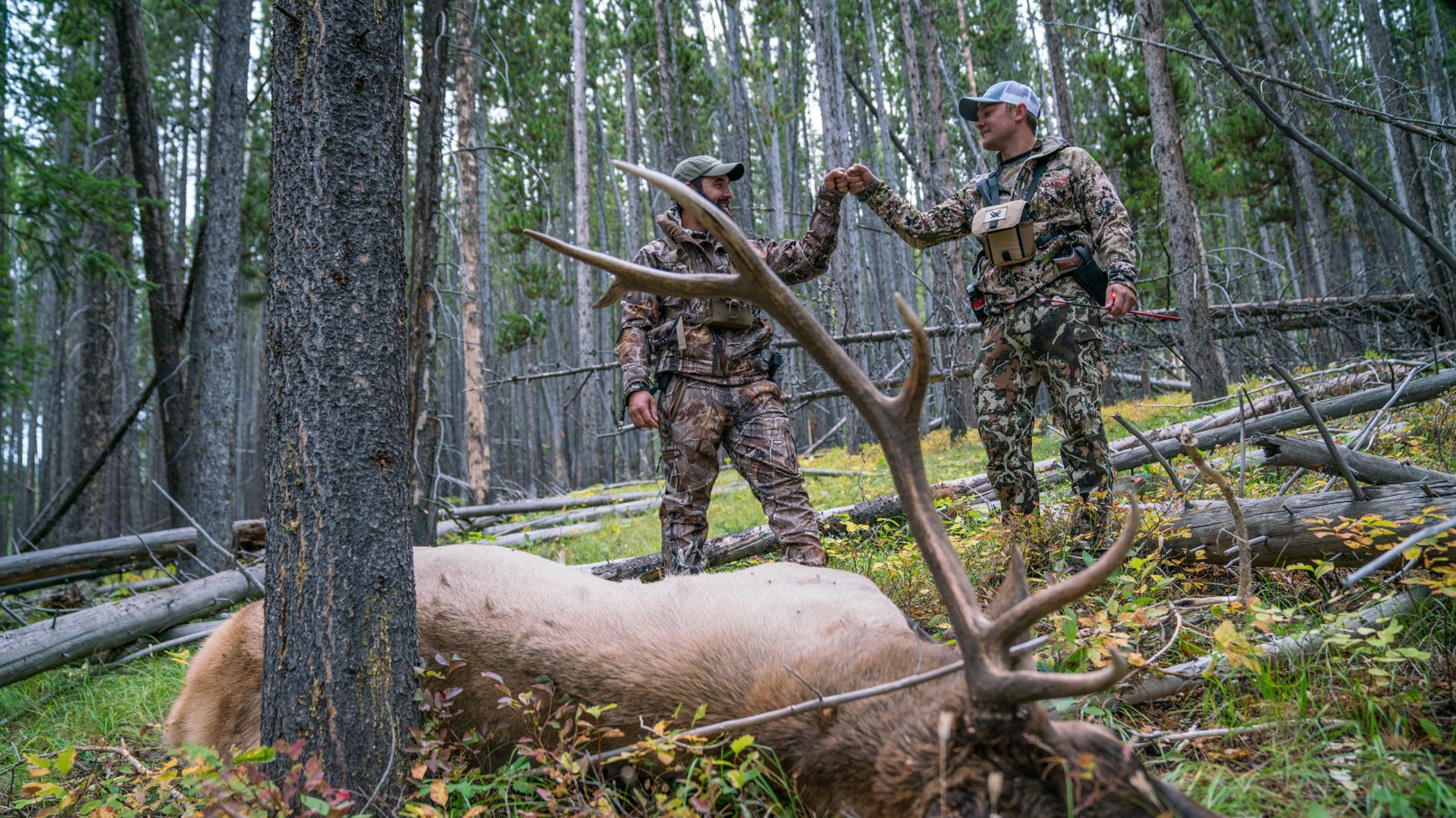 Check Your Montana FWP Hunting Forecast Before Going Afield This Season ...