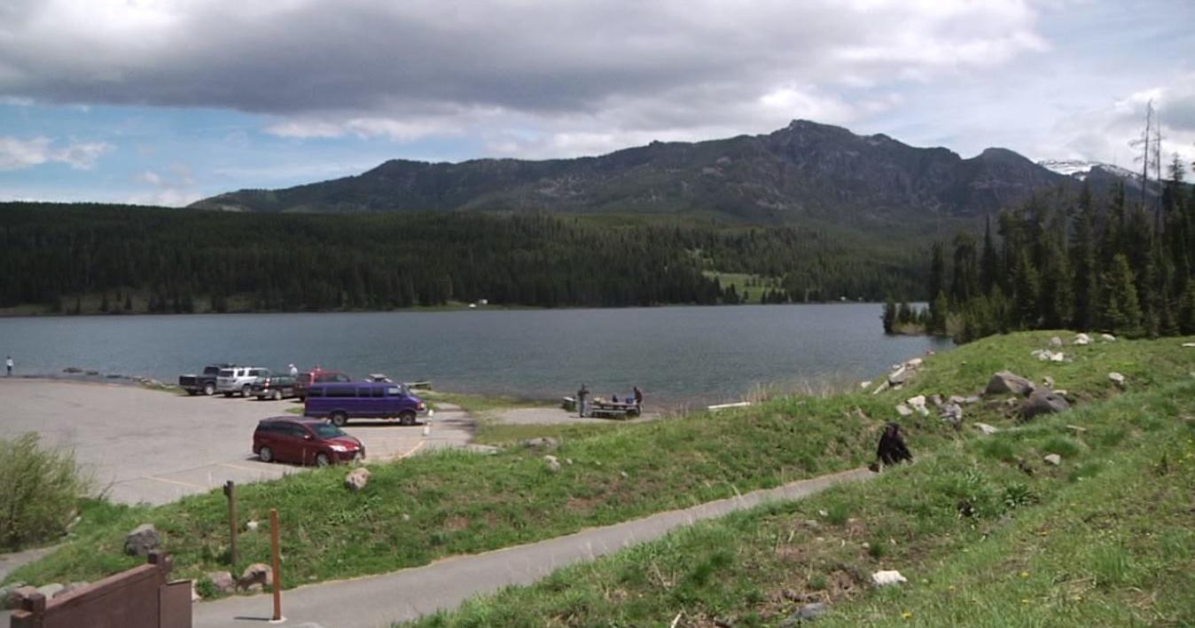 Harmful algal blooms found at Hyalite Reservoir and Elk Groove Park Pond - Vimarsana News