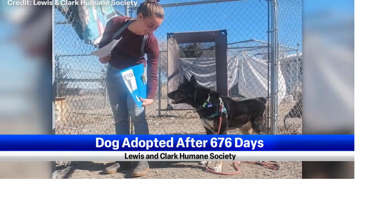 Dog gets adopted after spending 676 days at Lewis and Clark Humane