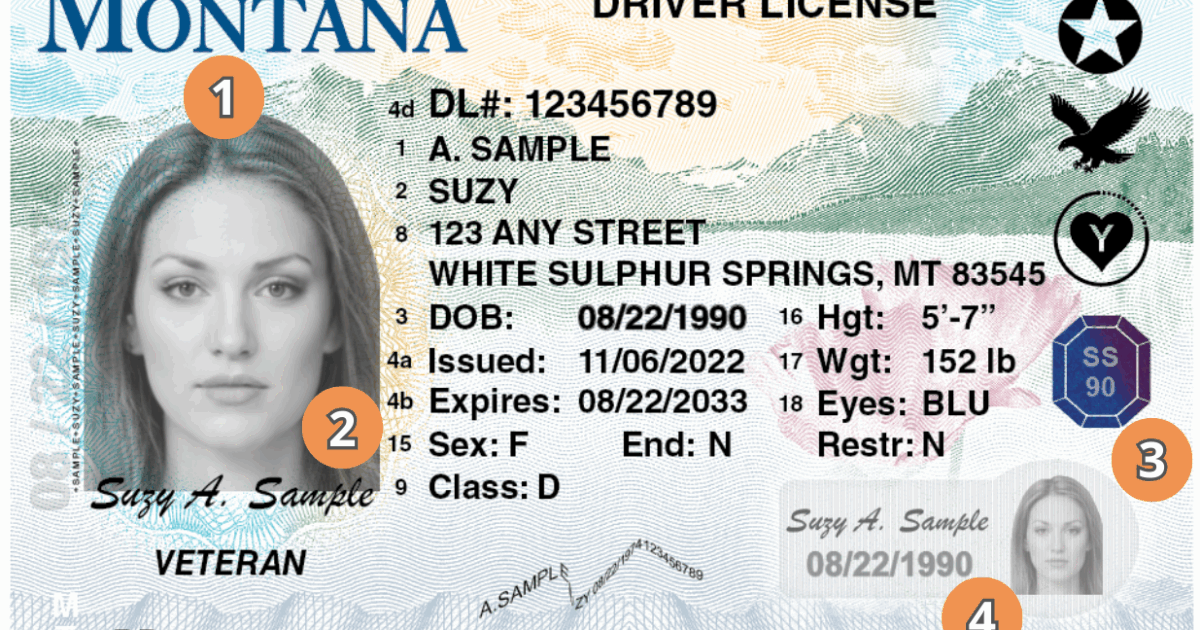 Bozeman man charged with selling fake Montana driver's licenses