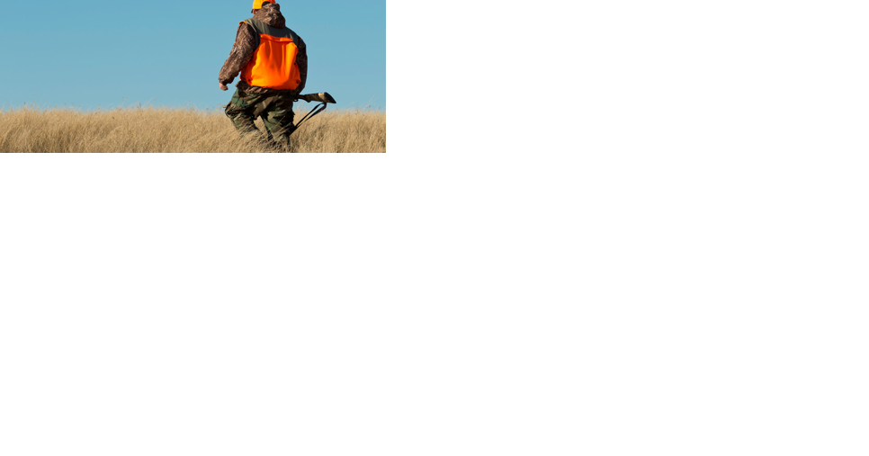 Elk hunting Access and Public Access Land Agreements open more than a million acres to the public - Vimarsana News
