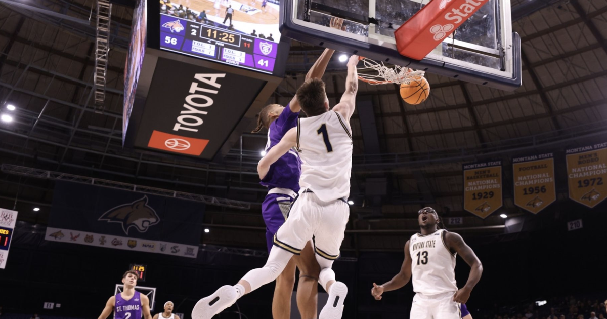 Montana State Men s Basketball Beats St Thomas At The Brick SWX montana-state-men-s-basketball-beats-st-thomas-at-the-brick-swx