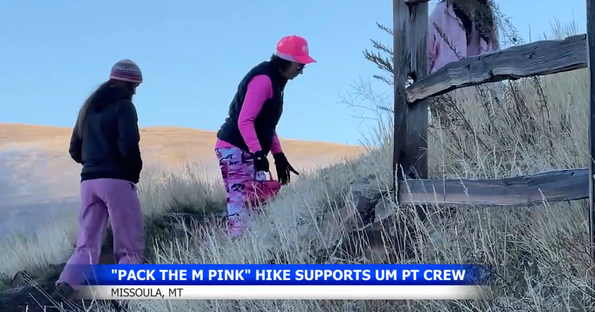 Pack the M Pink raises funds for PT students supporting breast cancer walk