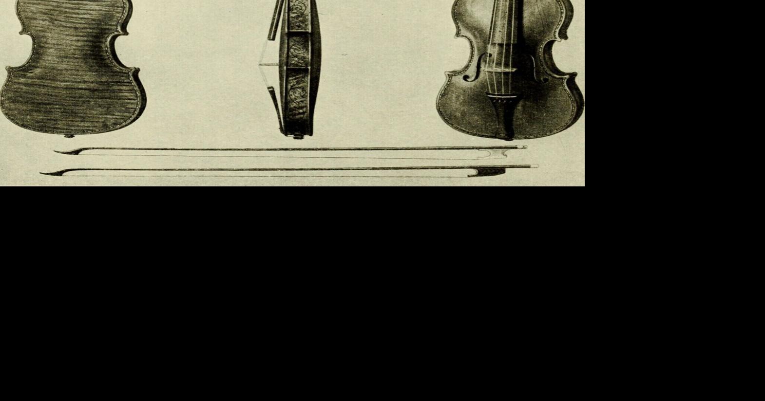 Chamber music group features new instruments in January | Montana News ...