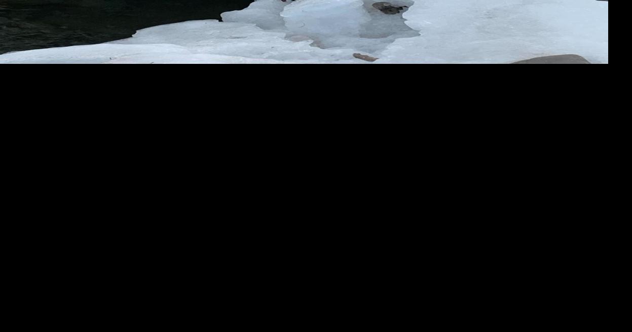 Latest information from Choteau, MT Great Falls News