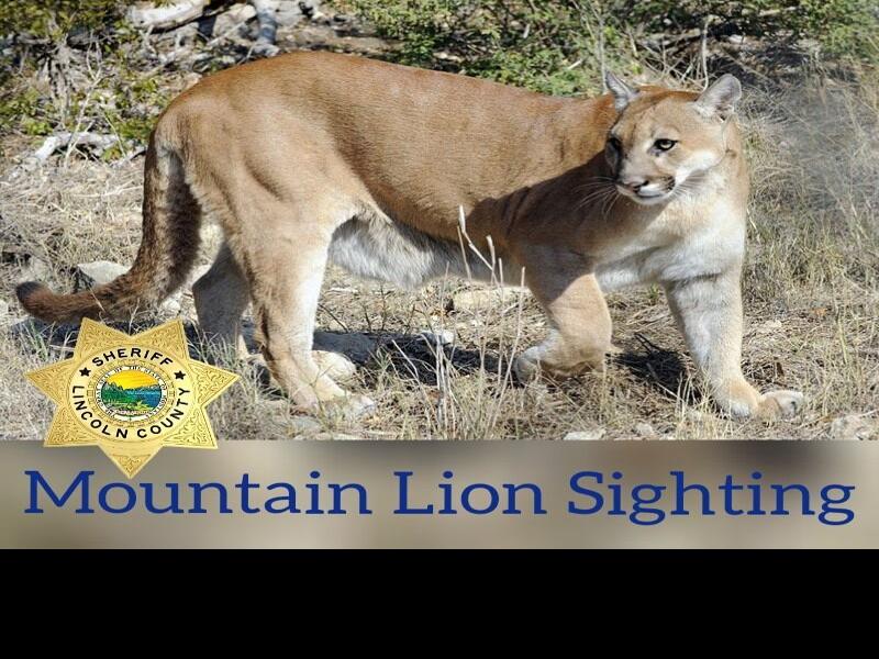 Lincoln County Sheriff reports mountain lion sighting ...