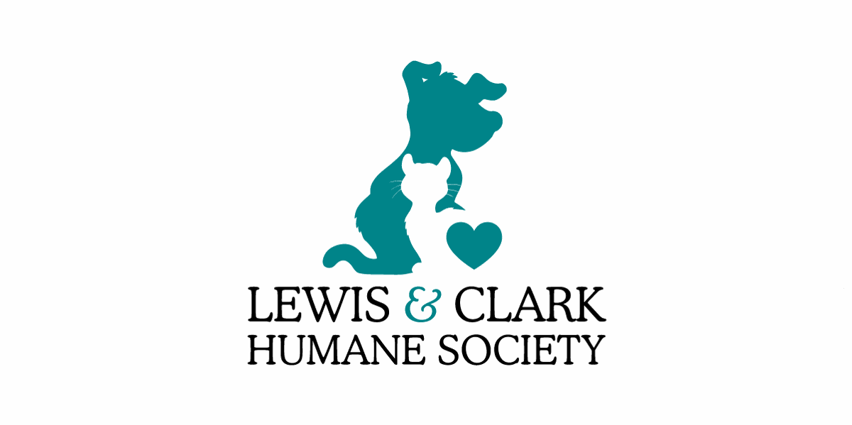Lewis And Clark Humane Society Reducing Fees For Dog Adoptions Saturday Abc Fox Montana Helena Montanarightnow Com lewis and clark humane society reducing
