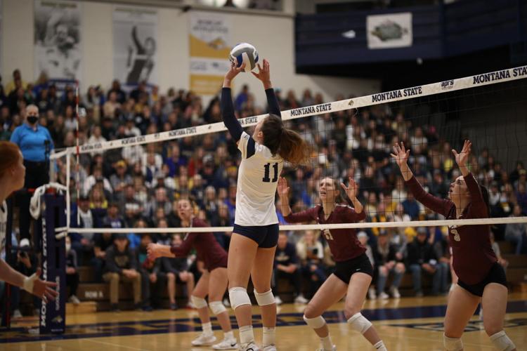 Elsa Godwin - Volleyball - University of Montana Athletics