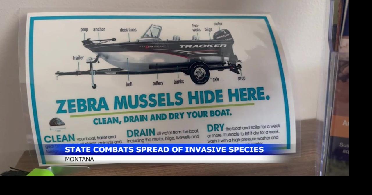 Montana boat inspections aim to keep invasive species at bay