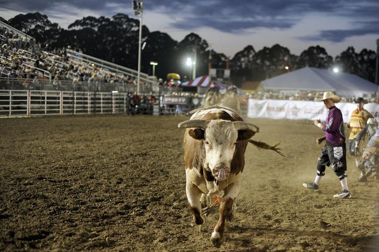 2014 Professional Bull Riding