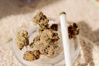 Weeded Out