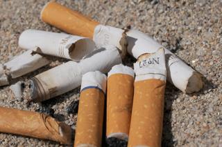 Salinas Council extends tobacco pause. Deputies arrest Greenfield man. Fantastic animals arrive.