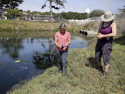 Estuarine Clean